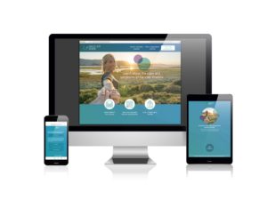 A website design showcasing how information design improves healthcare communication.